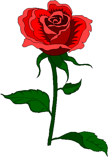 rosa1.gif